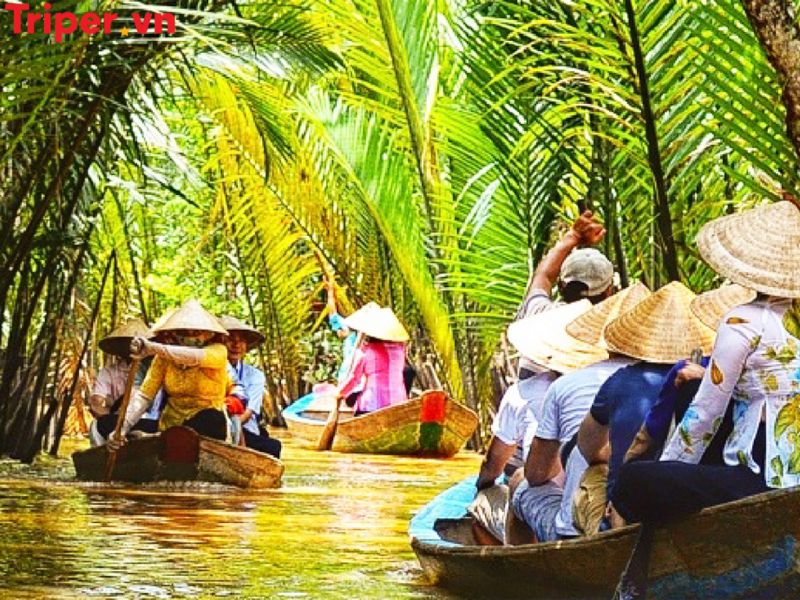 Ưu điểm của Công ty du lịch Cồn Phụng