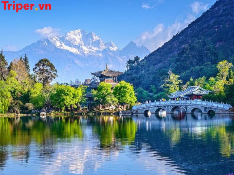 Ưu điểm của Công ty du lịch Euro Travel