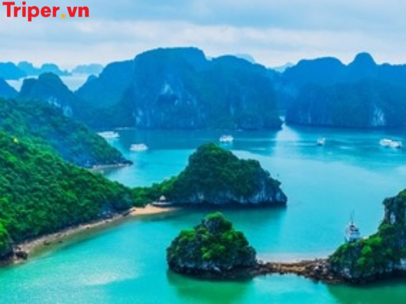 Ưu điểm của Công ty du lịch Exotissimo