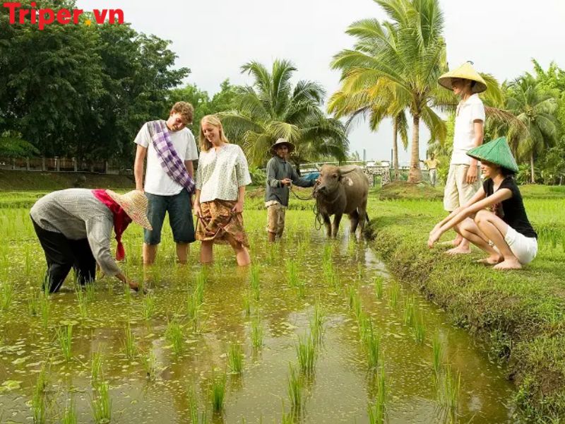 Ưu điểm của Công ty du lịch cộng đồng