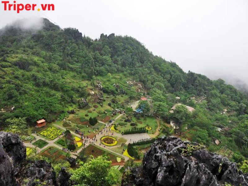 Ưu điểm của công ty du lịch Hàm Rồng