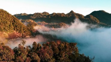 Ưu điểm của công ty du lịch Hana Tour