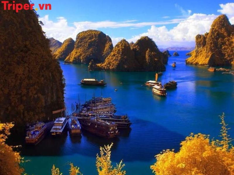 Ưu Điểm Của Công Ty Du Lịch Hoa Hạ