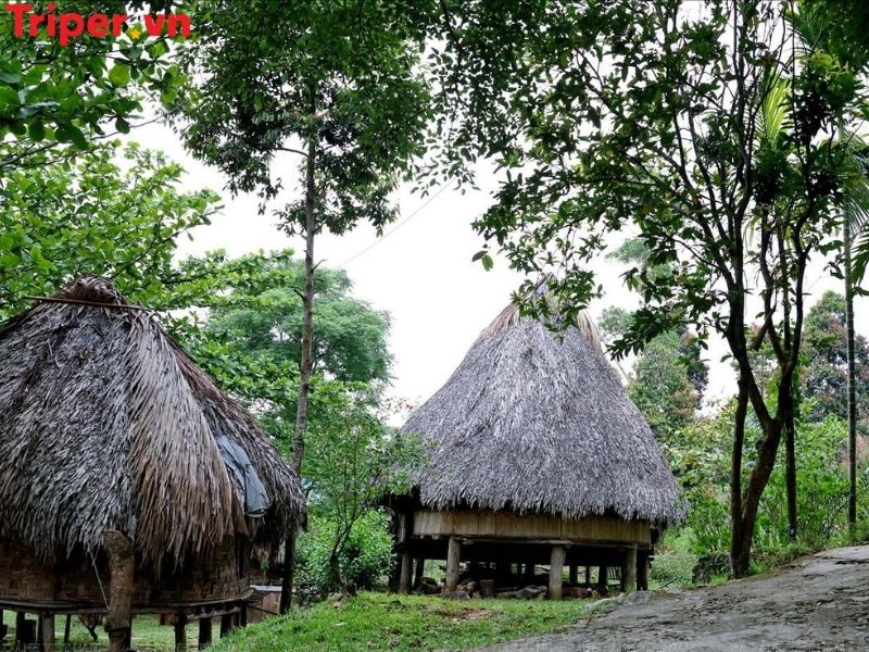 Ưu điểm của công ty du lịch Hoàng Minh