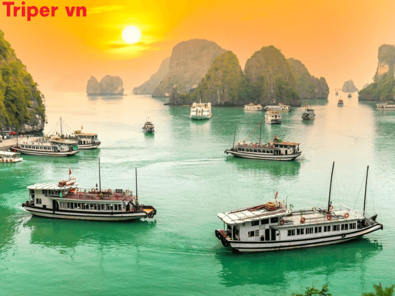 Review công ty du lịch Tâm An uy tín giá tốt 5 Ưu Điểm Của Công Ty Du Lịch Tâm An