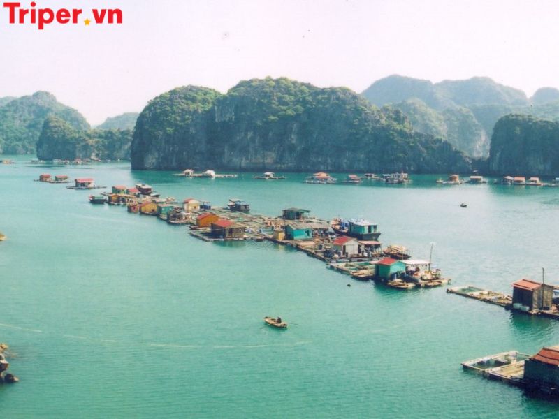 Thông Tin Các Tour Nổi Bật Tại Công Ty Du Lịch Ht Travel Việt Nam