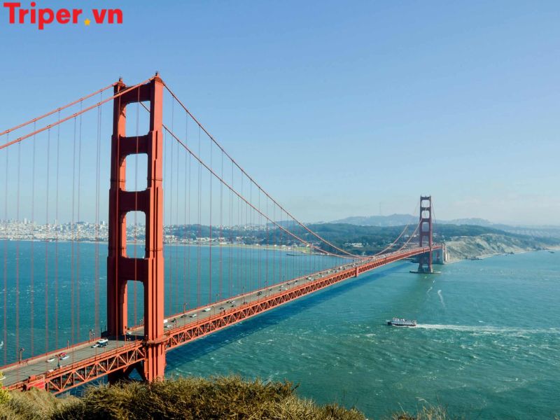 Ưu Điểm Vượt Trội Của Công Ty Expedia