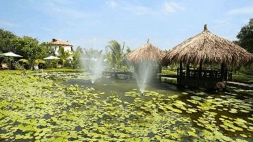 Vì sao nên chọn một công ty du lịch tại xã An Nhơn Tây