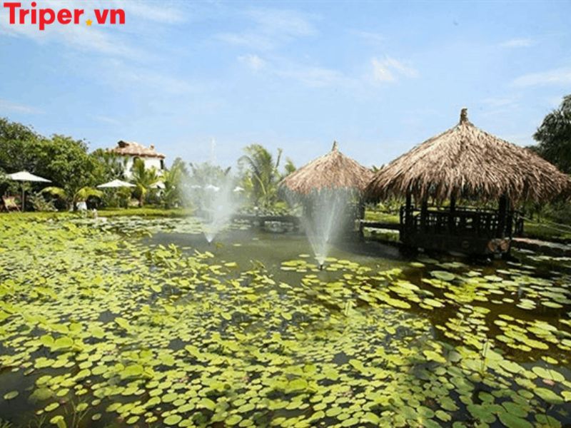 Vì sao nên chọn một công ty du lịch tại xã An Nhơn Tây