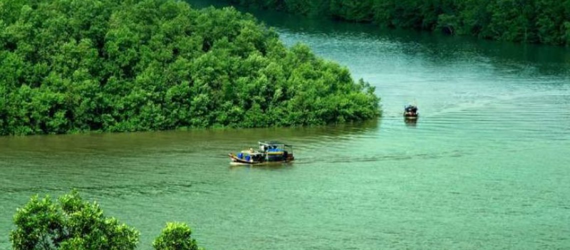 Vì sao nên chọn một công ty du lịch tại xã An Thới Đông