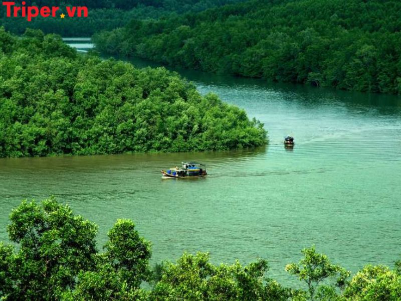 Vì sao nên chọn một công ty du lịch tại xã An Thới Đông
