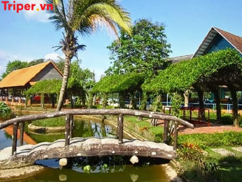 Vì sao nên chọn một công ty du lịch tại xã Bình Mỹ