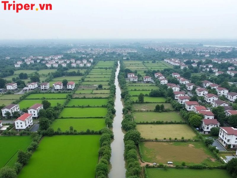 Vì sao nên chọn một công ty du lịch tại xã Tân Vĩnh Lộc