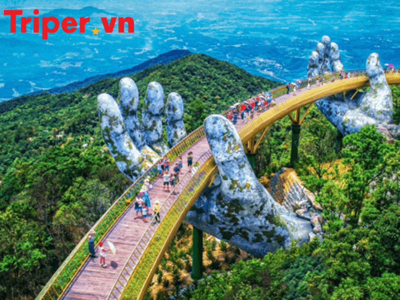 công ty du lịch 4 mùa (1)