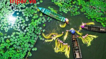 công ty du lịch Đông Tây Xanh