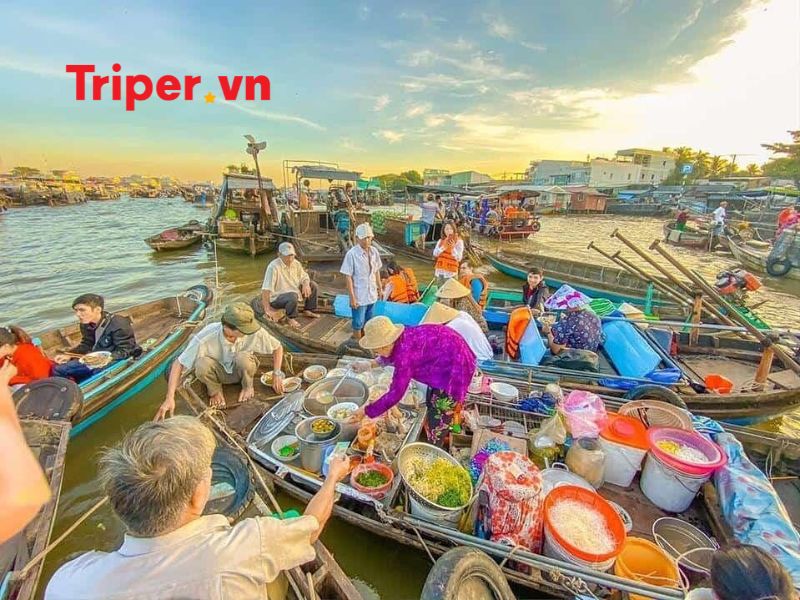 Cẩm nang du lịch