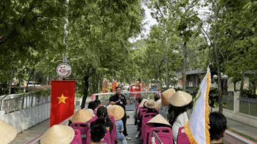 công ty du lịch chim cánh cụt (4)