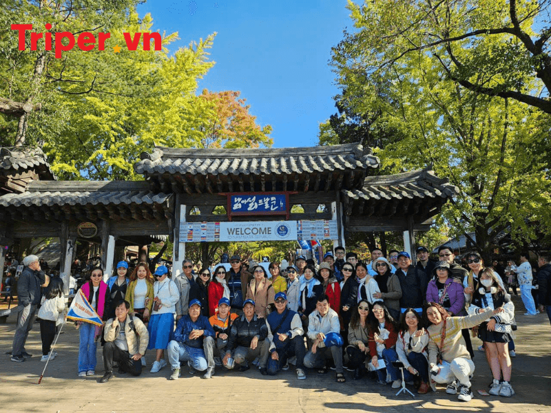 Các tour nổi bật tại Công ty du lịch Đất Mũi Xanh