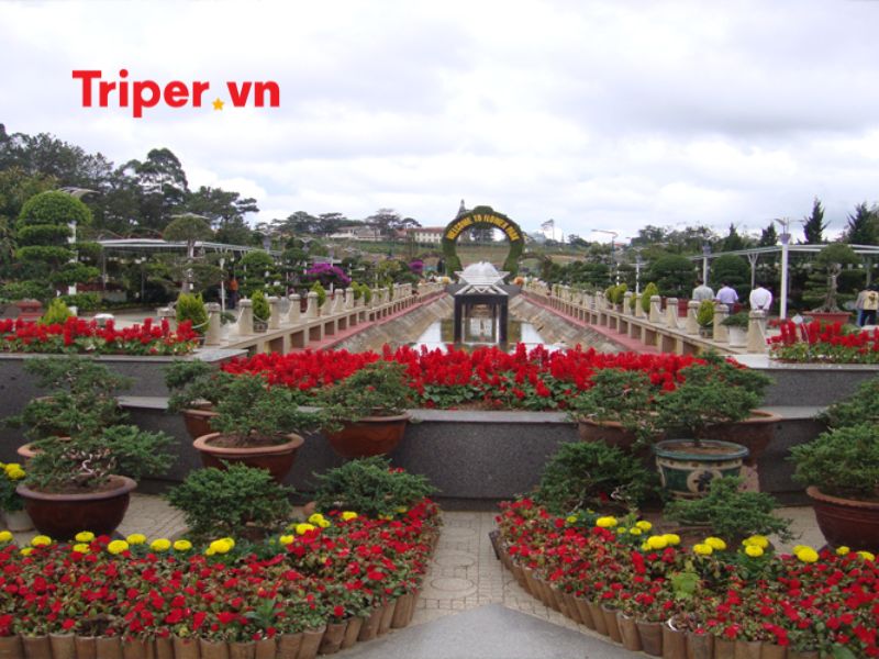Các tour nổi bật