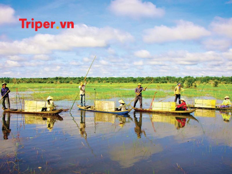 Tour nổi bật