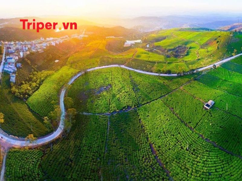 Chính sách – quy định