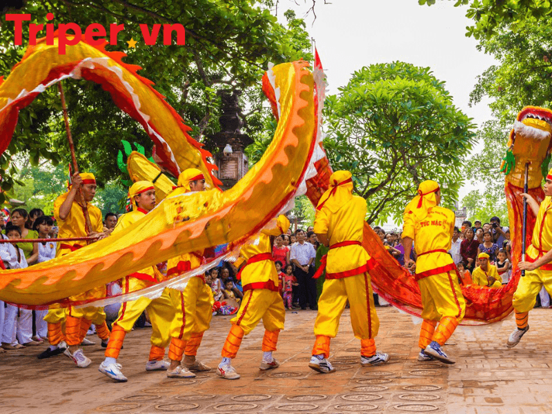 Ưu điểm của công ty du lịch Festival