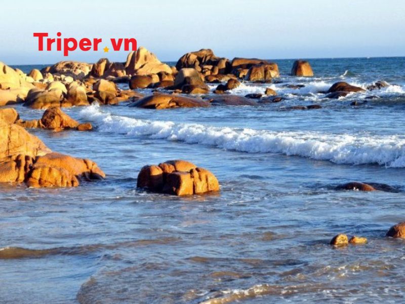 Chính sách