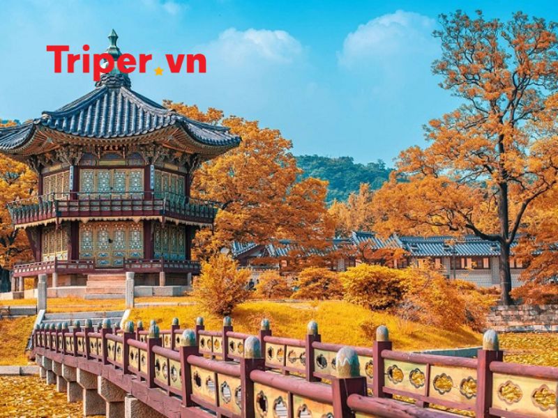 Giới thiệu về Công ty du lịch Hoa Phượng