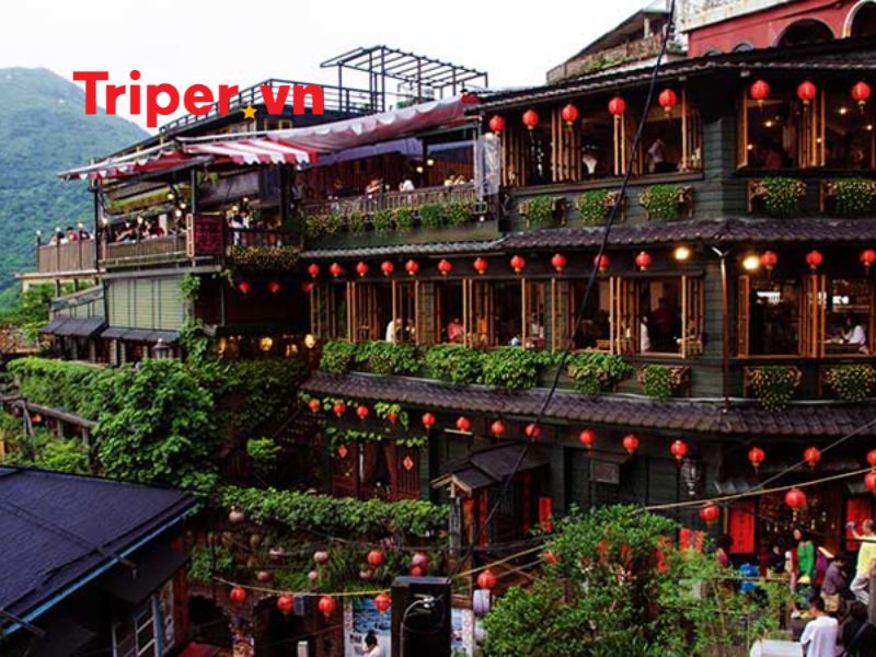 Thông tin các tour nổi bật tại Công ty du lịch Hoa Phượng