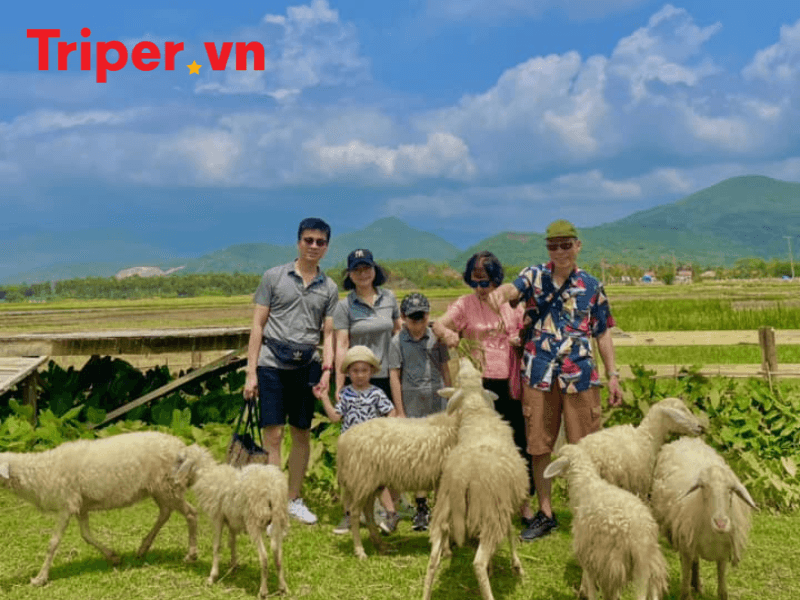 Giới thiệu về công ty du lịch Hoàn Hảo Travel