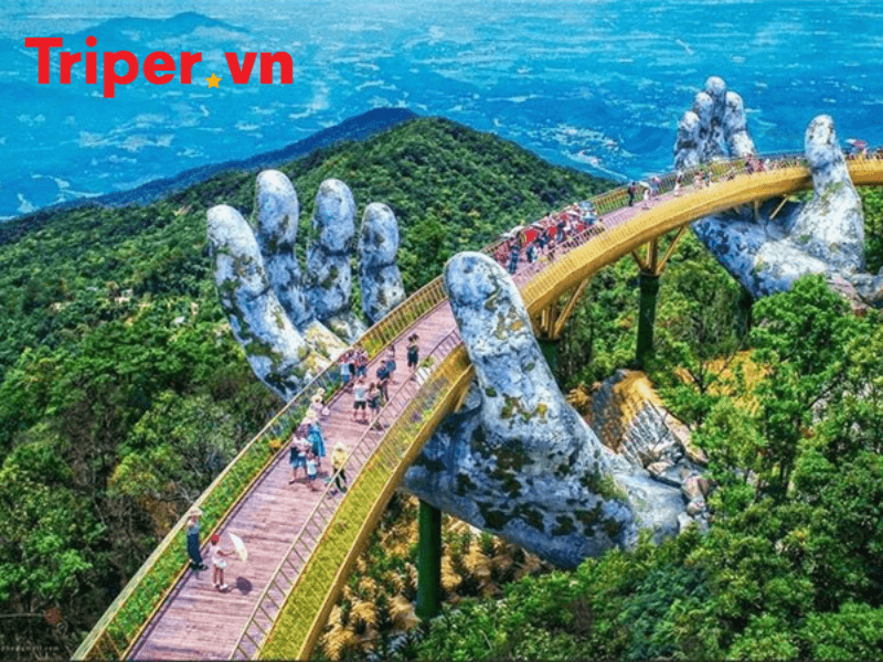 Các đánh giá thực tế của công ty du lịch hoàng hà