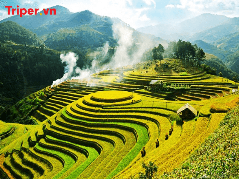 Review công ty du lịch Hoàng Nam 3 Công Ty Du Lịch Hoàng Nam