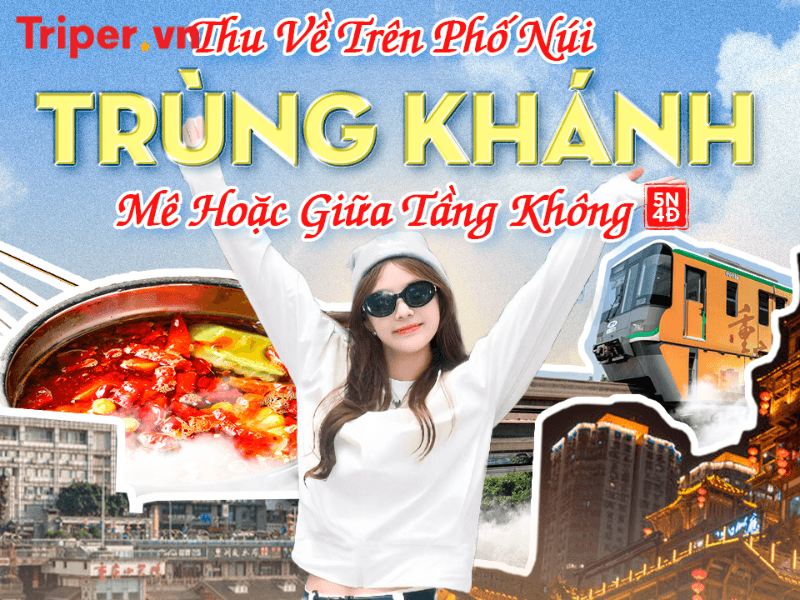 công ty du lịch kim liên