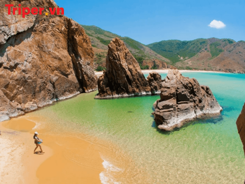 công ty du lịch kỷ nguyên tourist
