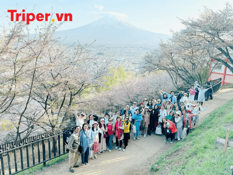 Thông tin các tour nổi bật tại công ty du lịch MayQ Go