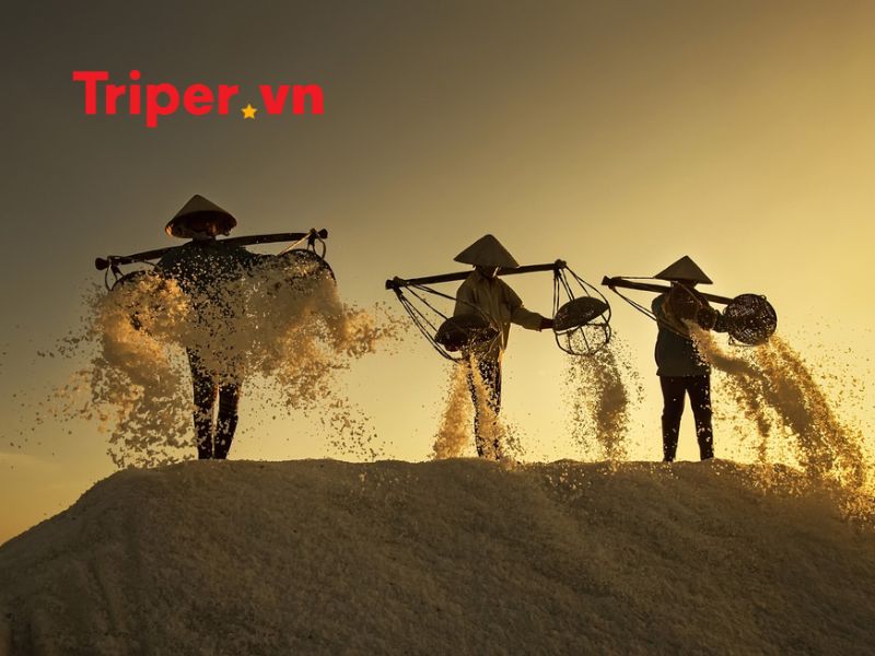 Giới thiệu về công ty du lịch Mỹ Á