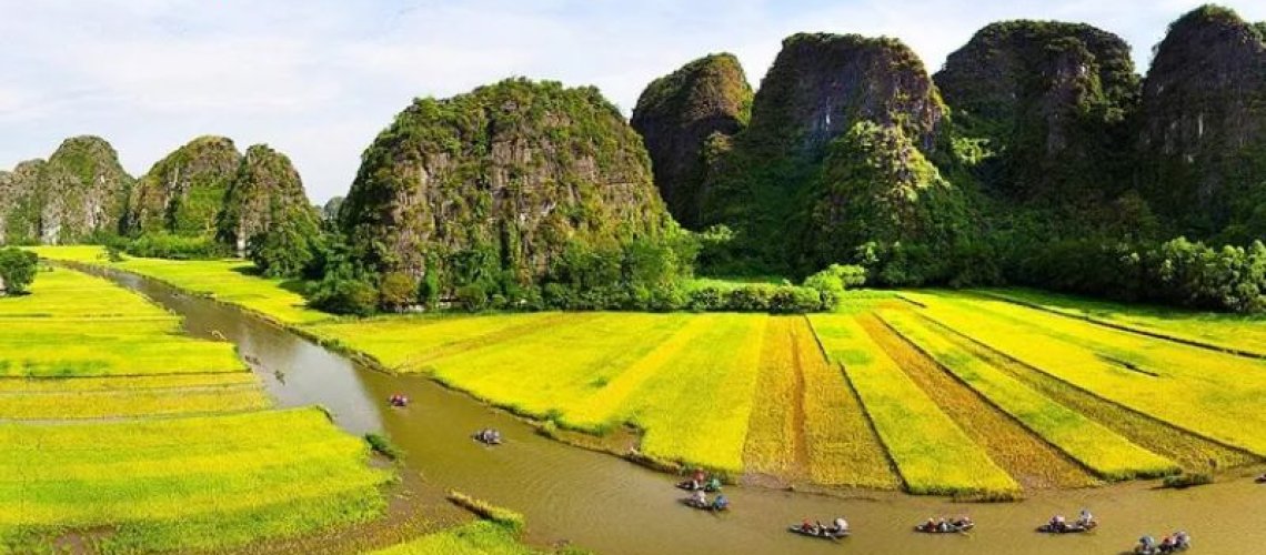 công ty du lịch mỹ á