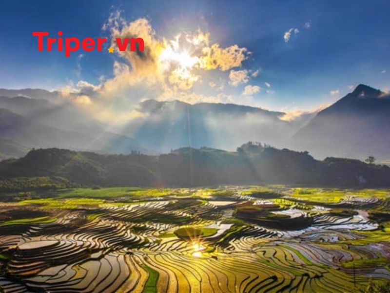 Thông tin liên hệ công ty du lịch mytour