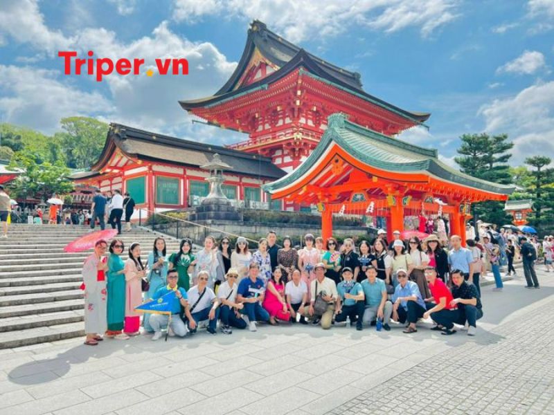 Giới thiệu về công ty du lịch mytour