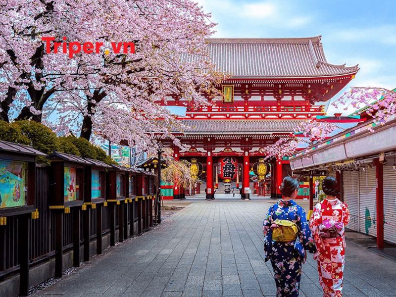 Các dịch vụ nổi bật tại công ty mytour