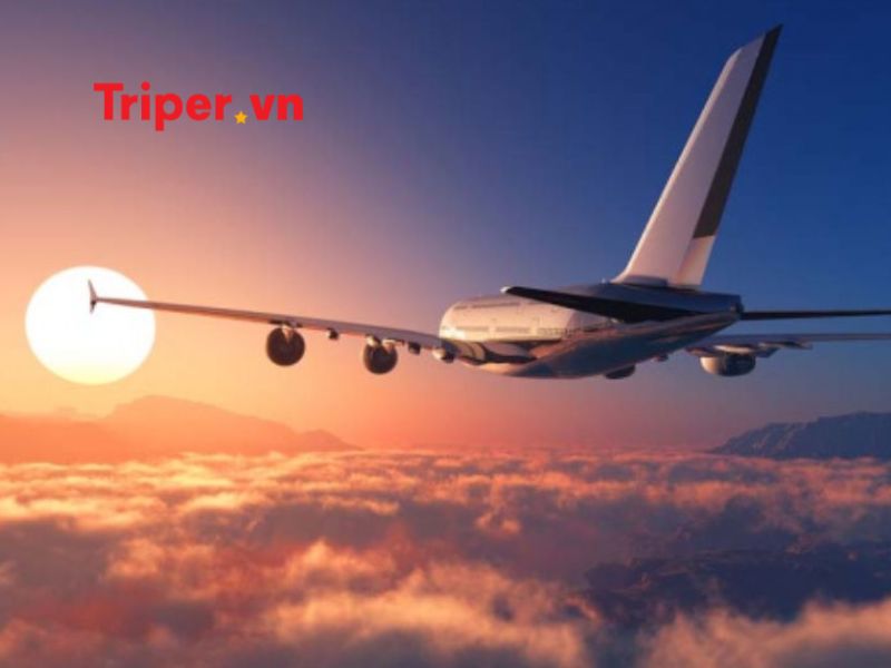 Các dịch vụ nổi bật tại công ty mytour