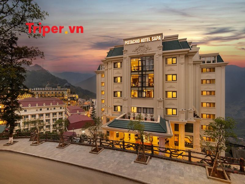 Các dịch vụ nổi bật tại công ty mytour