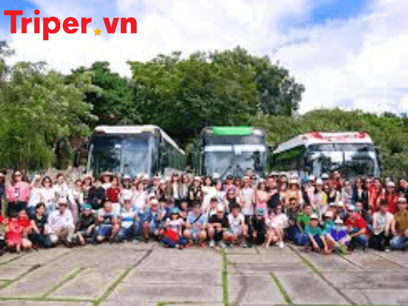 công ty du lịch nắng mới (3)