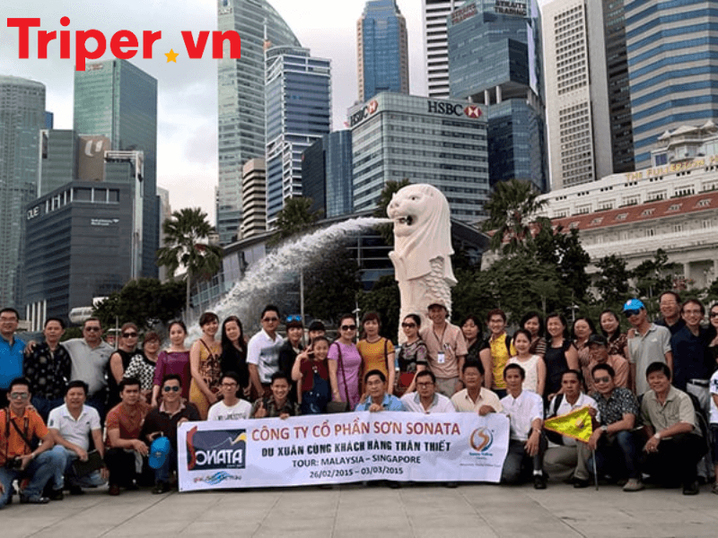 công ty du lịch nắng vàng (1)