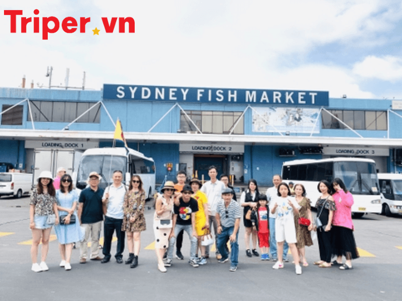 công ty du lịch ngôi sao group (2)