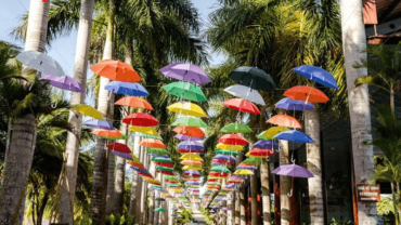 công ty du lịch non sông việt (2)