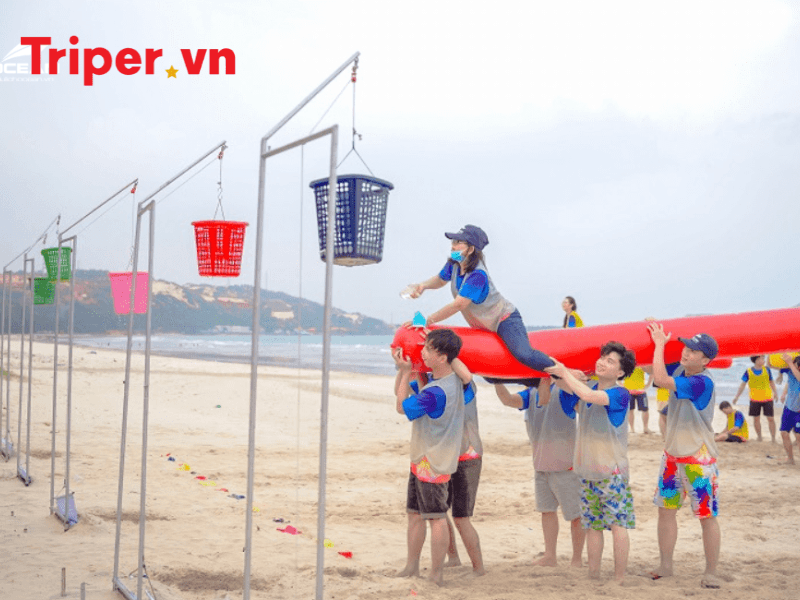 Các tour nổi bật tại công ty du lịch Ocean
