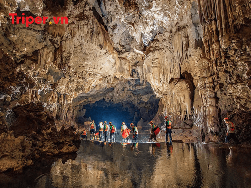 Thông tin các tour nổi bật tại công ty du lịch Oxalis