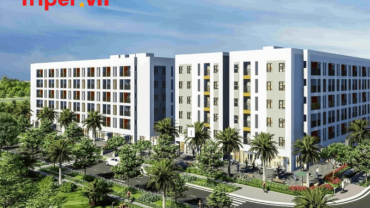 công ty du lịch phường Long Trường