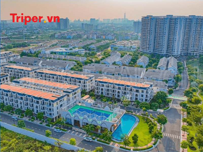 Lời khuyên lựa chọn công ty du lịch phù hợp